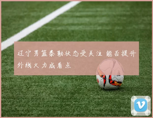 辽宁男篮泰勒状态受关注 能否提升外线火力成看点