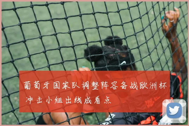 葡萄牙国家队调整阵容备战欧洲杯 冲击小组出线成看点