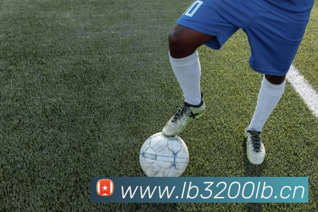 压球首页平台生态图